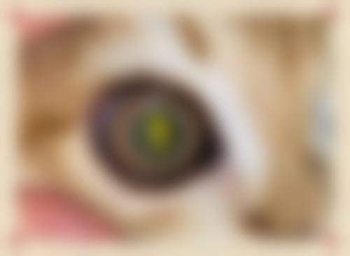 医生资质介绍