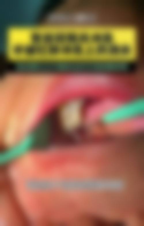 透明定价体系与贴心服务体验