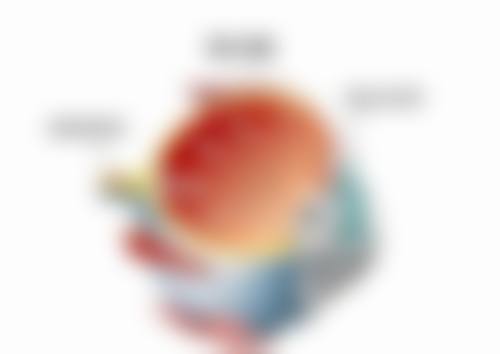 特色科室与透明化价格体系