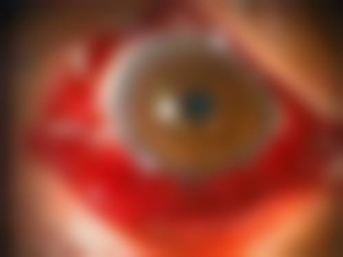 诊疗特色总结