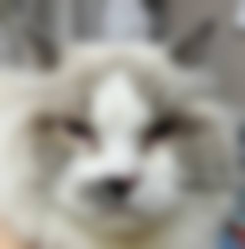 具有影响力骨干医生团队与技术优势