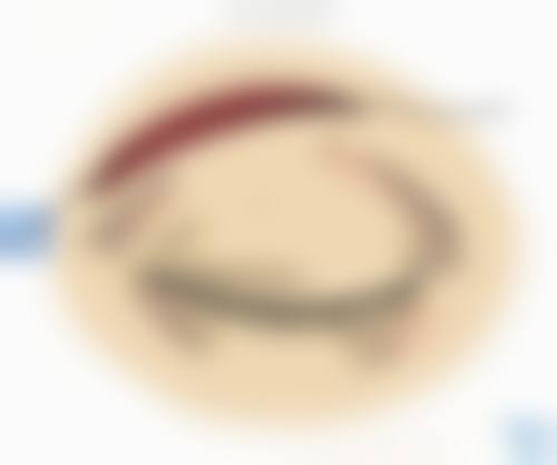 总结与预约指引