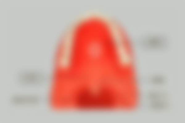 贴心服务流程与便捷预约指南