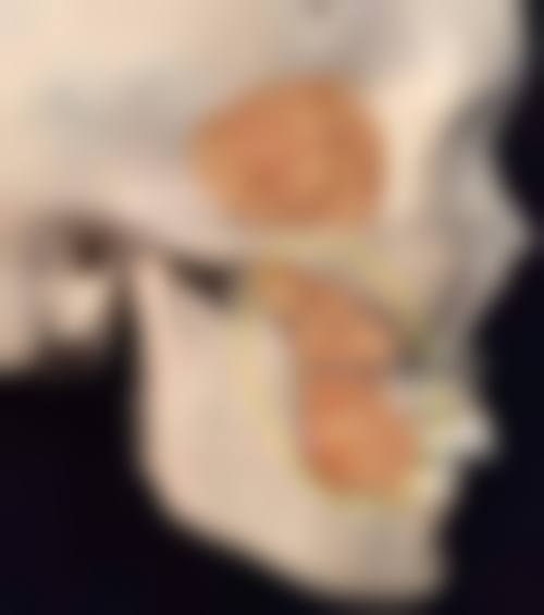 常见问题解答与预约指南