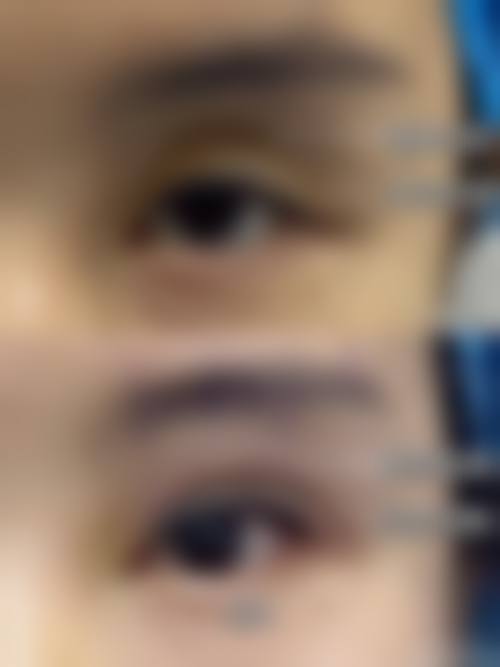 医生资质介绍
