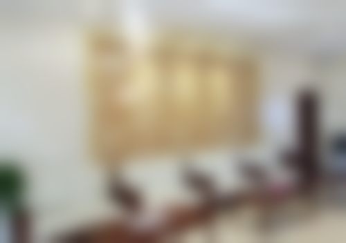 擅长项目详解