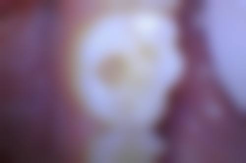 透明价格体系与服务流程
