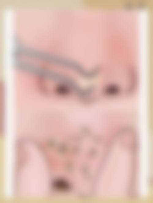 擅长项目详解