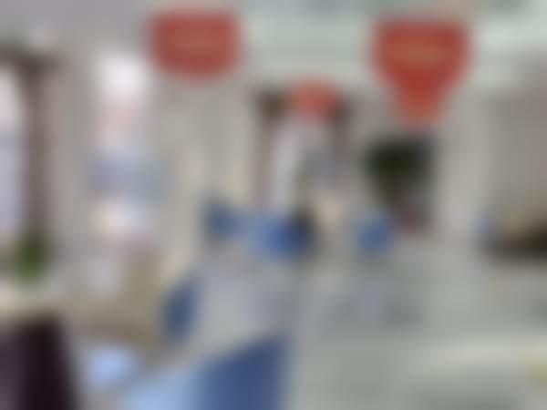 核心技术与特色项目介绍